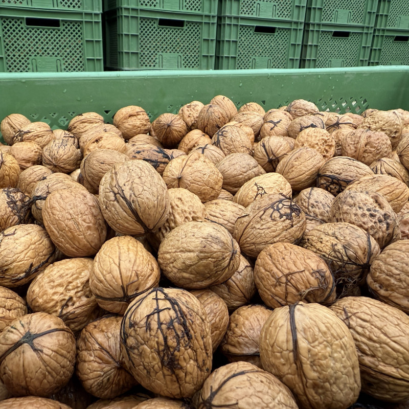 Graikiniai riešutai