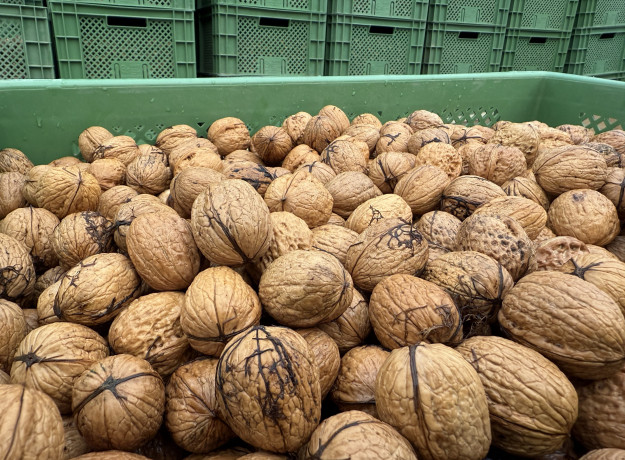 Graikiniai riešutai