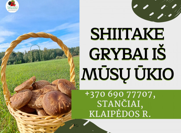 Shitake grybai auginti ant rąstelių 1 kg