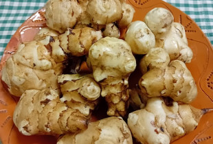 Švieži  topinambai 1 kg