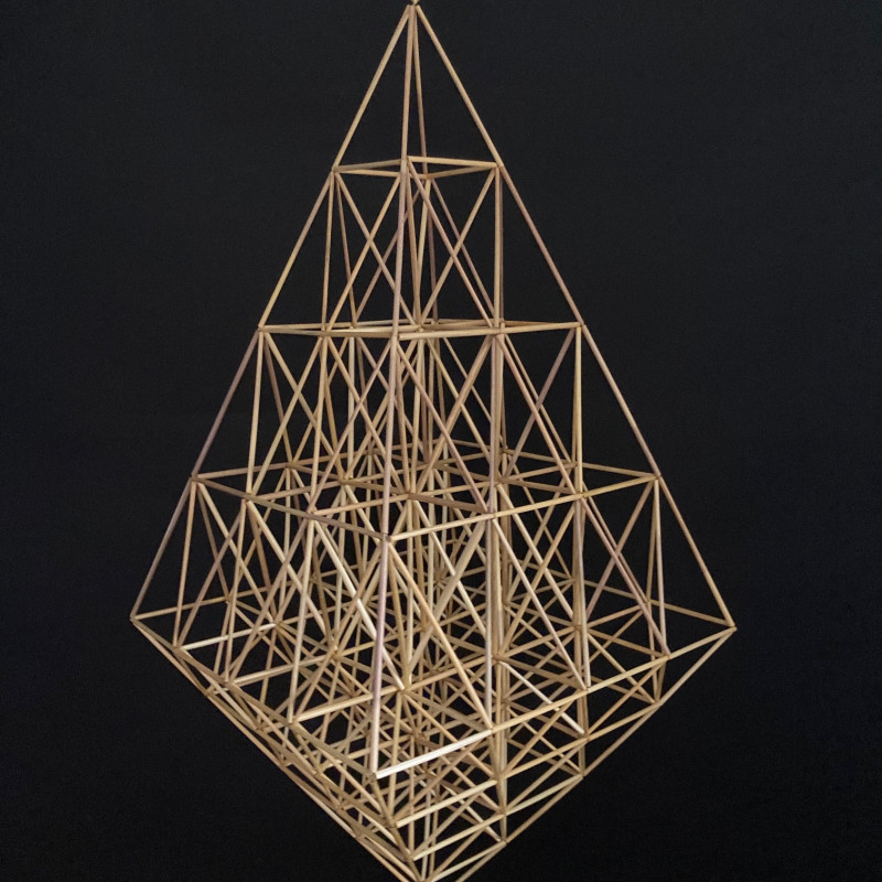 Šiaudinis sodas LAŠAS