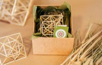 Mažas „Sodelis 2”