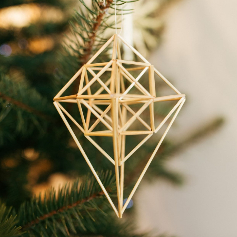 Mažas „Sodelis 2”