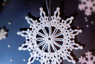 Nerta snaigė (Nr. 11)