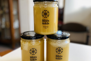 Pavasario žiedų medus