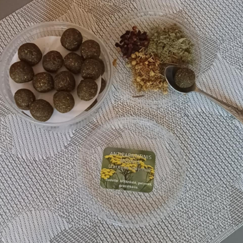 Antiparazitinis mišinys žarnyno valymui (42vnt)