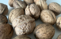 Ekologiški graikiniai riešutai