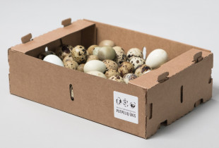 Putpelių kiaušiniai...