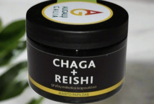 Beržo grybas Chaga ir...