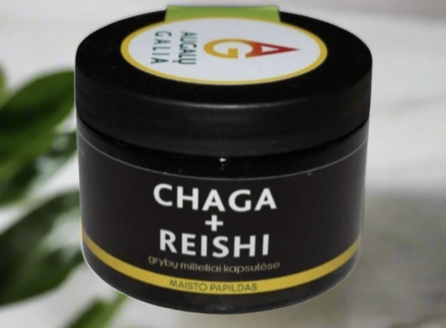 Beržo grybas Chaga ir Tikrinis blizgutis Reishi 60 kapsulės 