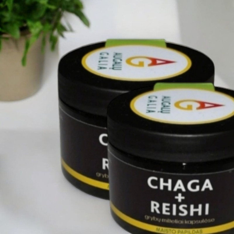 Rinkinys: Čaga ir Reishi kapsulės