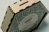 Medinė taupyklė "Naujiems ratams"