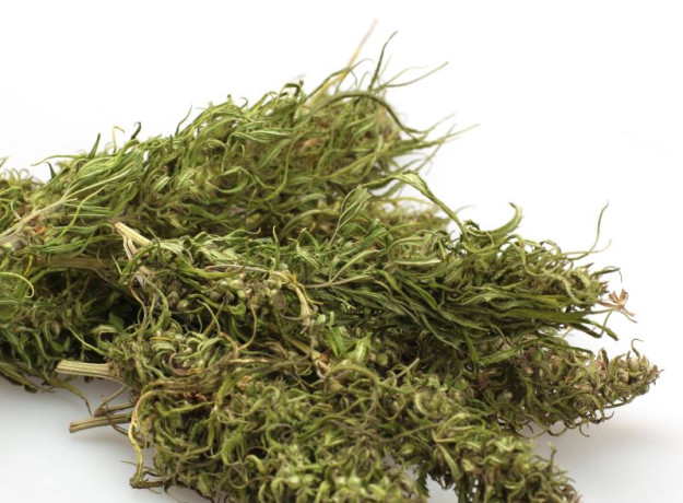 Ekologiška kanapių žiedų arbata