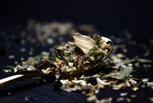 Grybų druskos papildymas