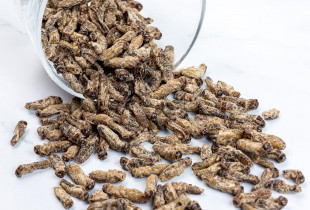 Saldūs džiovinti svirpliai