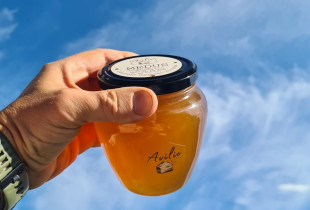 Medus (pavasarinis, pievų,...