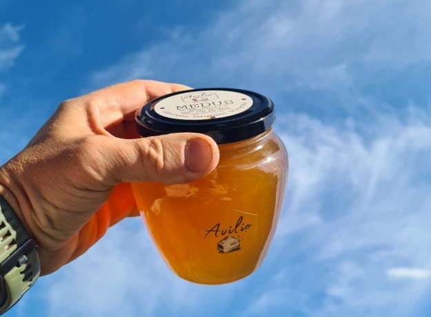 Medus (pavasarinis, pievų, miško)