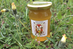 Pavasario medus 440 g