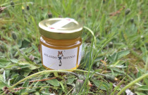 Pavasario medus 140 g