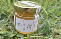 Pavasario medus 140 g