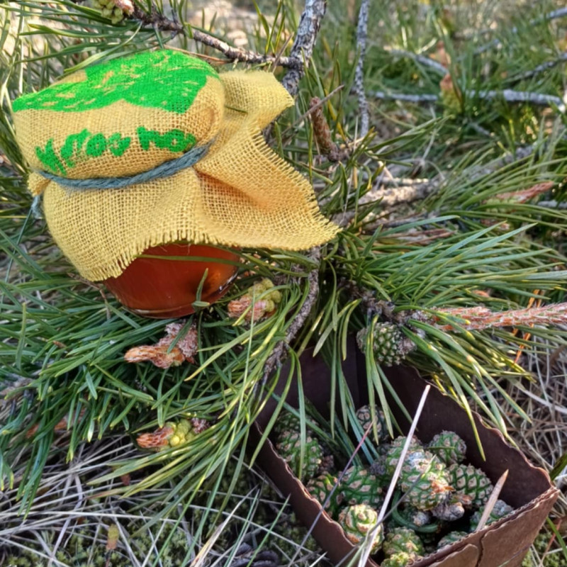 Kankorėžių Sirupas 190ml