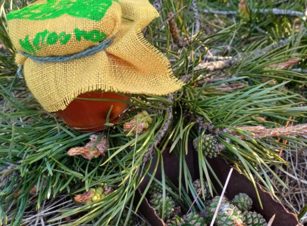 Kankorėžių Sirupas 190ml