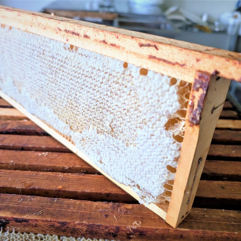 Medus su koriu 200 g