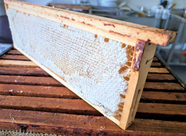 Medus su koriu 200 g