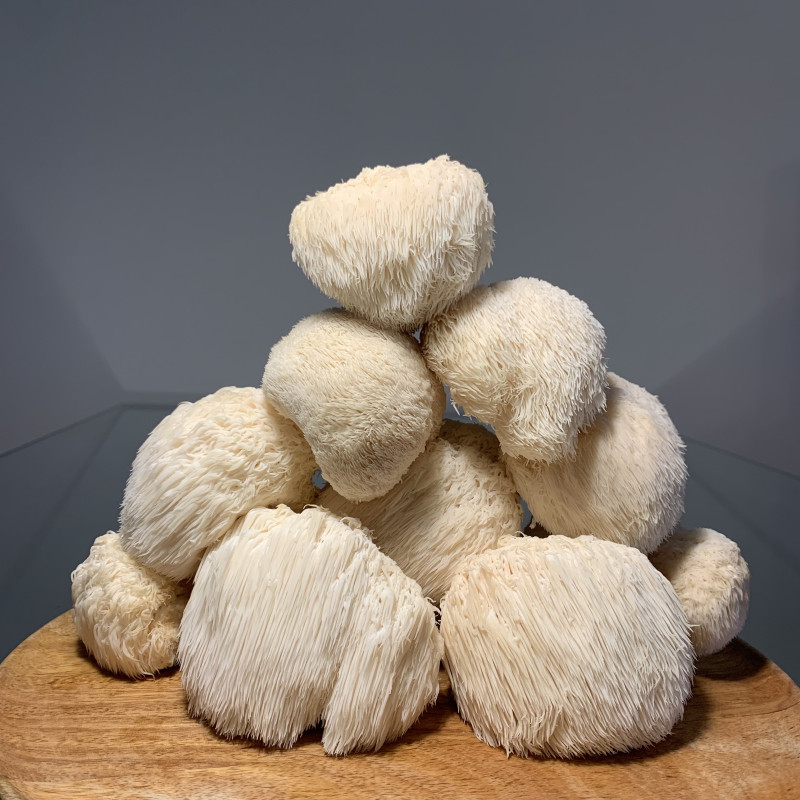 Švieži Lion's Mane (Liūto Karčių) Grybai 500g