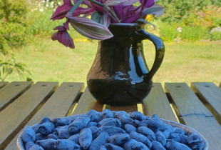 Valgomųjų sausmedžių uogos