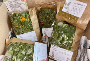 Rinkinys - detokso kursas