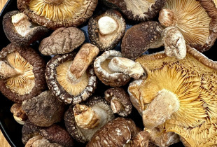 Džiovinti shiitake grybai...