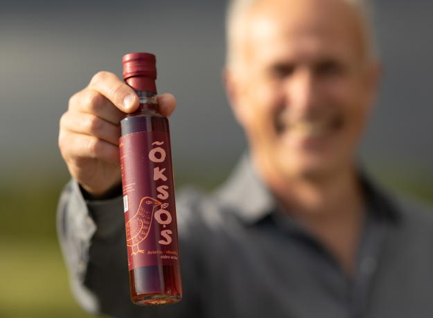 Aviečių-obuolių sidro actas „Oksos“ 250 ml