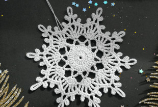 Nerta snaigė (Nr.16)