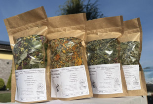 Organizmo stiprinimo kursas...