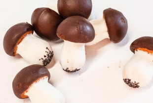 Biskvitiniai grybukai