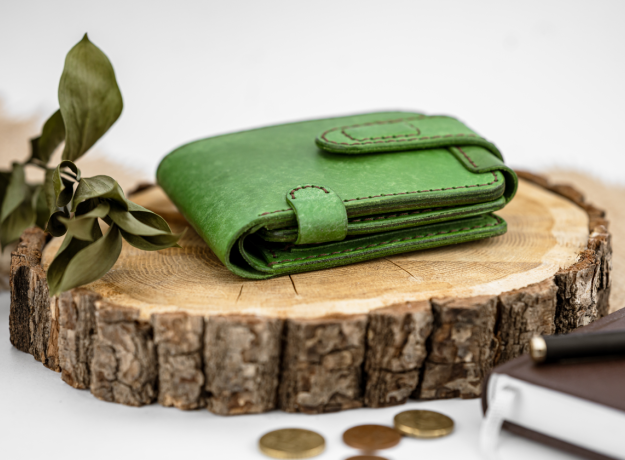 Piniginė "Crazy Frog"