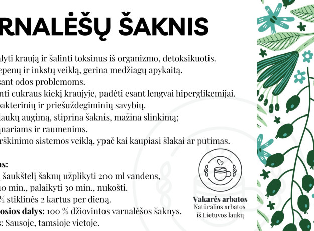 VARNALĖŠŲ ŠAKNIS – organizmo šluota iš gamtos