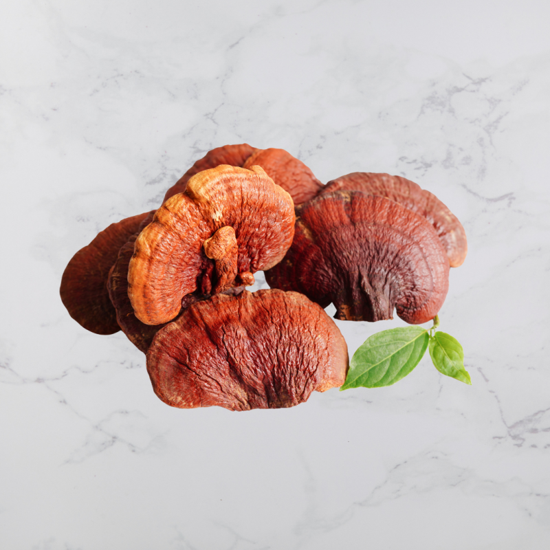 Beržo grybas Chaga ir Tikrinis blizgutis Reishi 60 kapsulės 