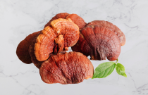 Beržo grybas Chaga ir Tikrinis blizgutis Reishi 60 kapsulės 