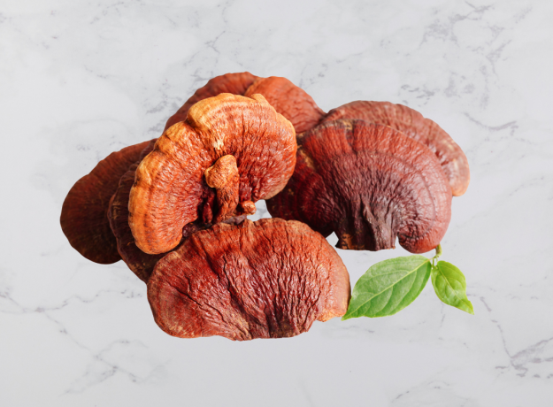 Beržo grybas Chaga ir Tikrinis blizgutis Reishi 60 kapsulės 