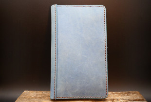 Delninė "Blue" (prototipas)