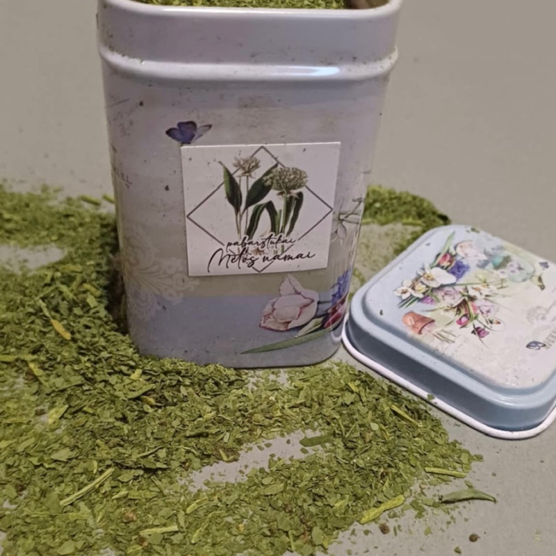 Miškinio česnako pabarstukai