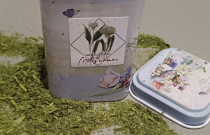 Miškinio česnako pabarstukai