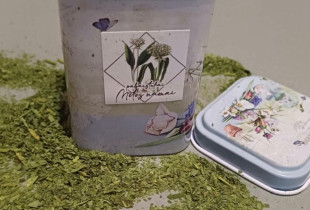 Miškinio česnako pabarstukai