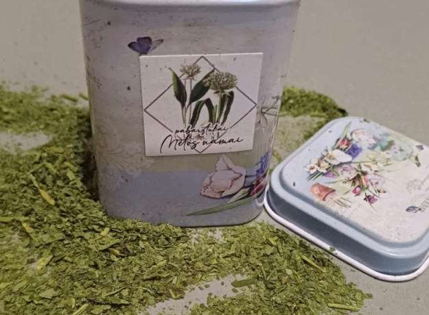 Miškinio česnako pabarstukai