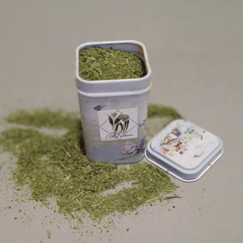 Miškinio česnako pabarstukai