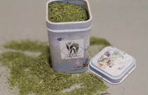 Miškinio česnako pabarstukai