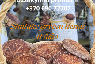 Shiitake grybai iš ūkininko...