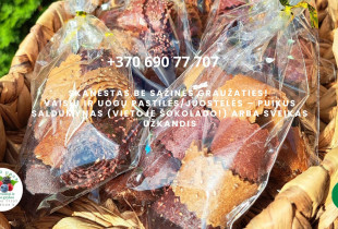 Kopija Kopija Kopija Rankų...